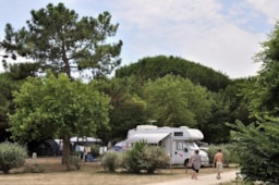 Kampeerplaats(en) - Confort+ Standplaats (1 Tent, Caravan Of Camper / 1 Auto / Elektriciteit 10A) - Flower Camping Le Bel Air