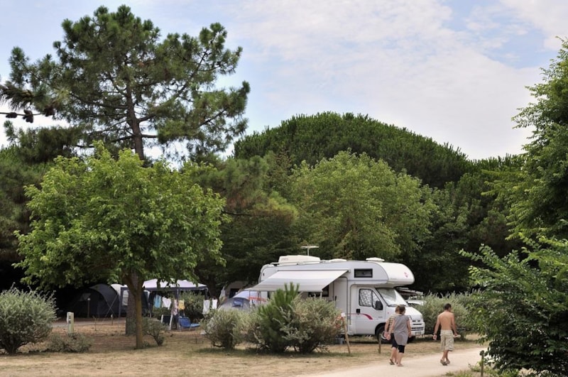 Piazzola Confort+ (tenda, roulotte, camper / 1 auto / Elettricità 6A)