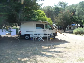 Kampeerplaats(en) - Basisprijs Comfortplaats (1 Tent, Caravan/ 1 Auto / Elektriciteit 10A) - Flower Camping Le Bel Air