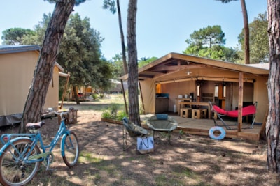 Ecolodge Cotton Comfort 32 m² - 2 bedrooms - terrace 11m² + TV — 2