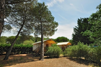 Canvas lodge on pile Standard 34m² - 2 bedrooms - terrace 10m² — 1