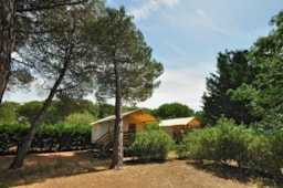 Huuraccommodatie(s) - Hut Lodge Op Heipalen Standaard 34M² - 2 Kamers - Terras 10M² - Flower Camping Le Bel Air