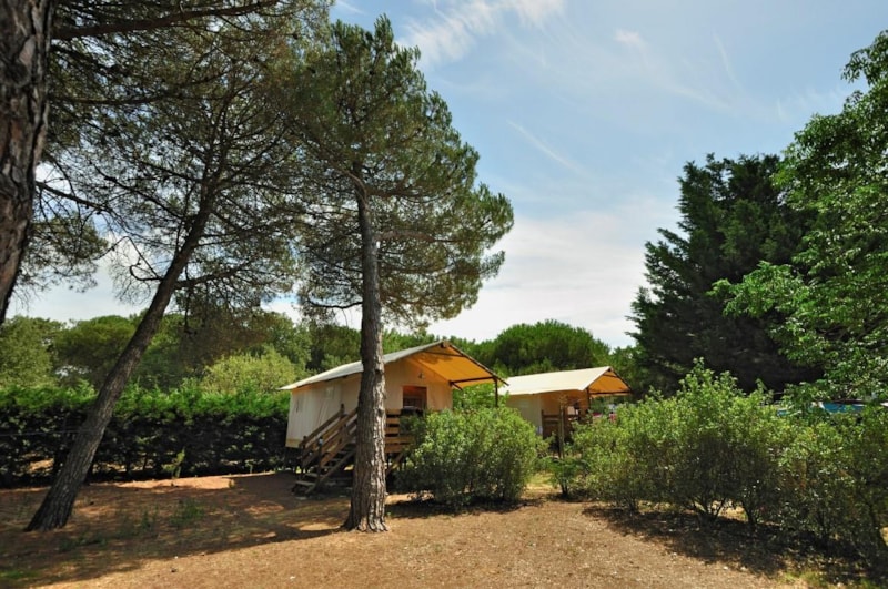 Cabane Lodge Standard sur pilotis 34m² - 2 chambres - terrasse couverte de 10m²