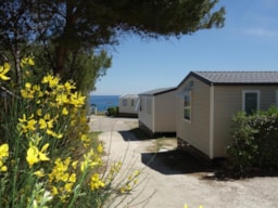 Camping Les Mouettes - image n°5 - Roulottes
