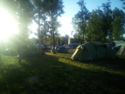 Pitch (1 Igloo tent + 1car)