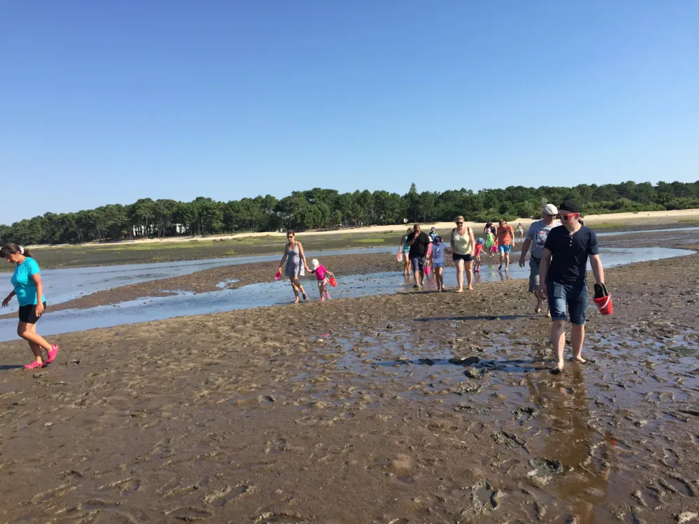 Flower Camping La Canadienne