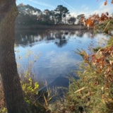 Foto #37 van Flower Camping La Canadienne