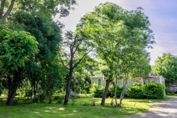 Stellplatz - Stellplatz Confort (Zelt, Wohnwagen, / 1 Auto / Strom 10A) - CAMPING LA GARENNE