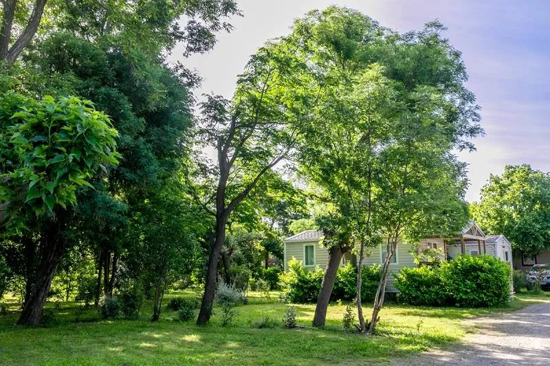 Forfait Confort (1 Emplacement, 2 Personnes, Électricité 10A)