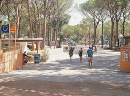 Camping Neptuno - image n°2 - Roulottes