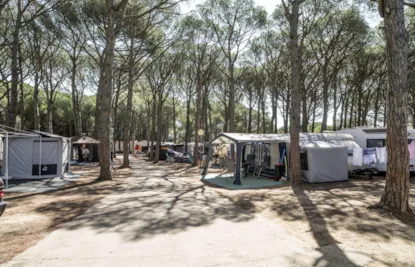 Parcela : Vehículo + Tienda/Caravana O Autocaravana