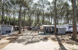Kampeerplaats(en) - Standplaats : Voertuig + Tent / Caravan Of Kampeerauto - Camping Neptuno