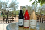 Foto #28 van Flower Camping Le Mas de Mourgues