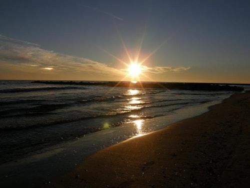 Foto #1 van Flower Camping Le Mas de Mourgues