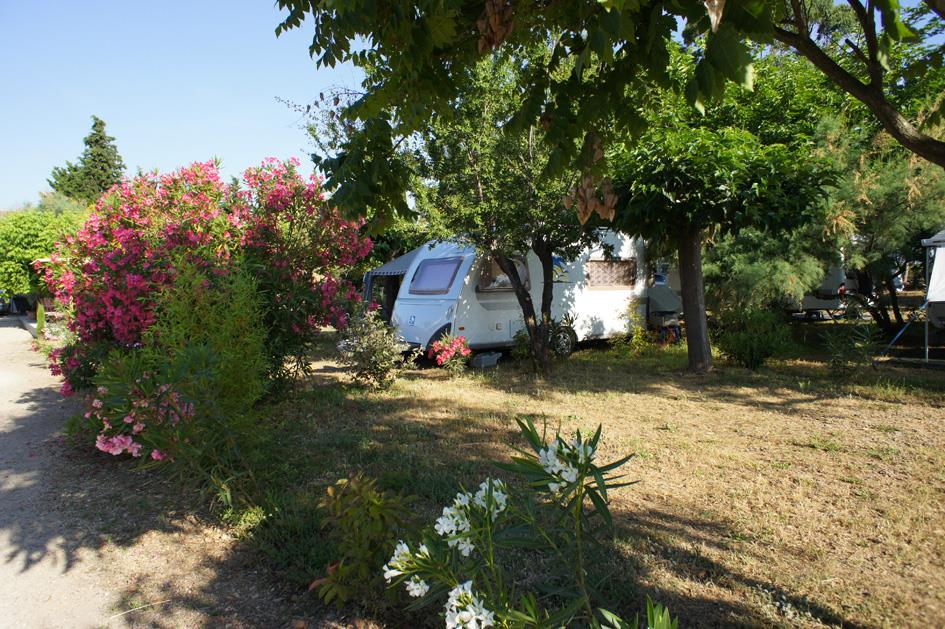 Emplacement - Forfait Confort (1 Tente, Caravane Ou Camping-Car / 1 Voiture / Électricité 10A) - Flower Camping Le Mas de Mourgues