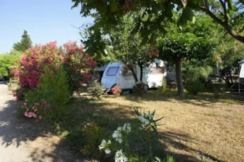 Stellplatz - Stellplatz Confort (Zelt, Wohnwagen, Wohnmobil / 1 Auto / Strom 10A) - Flower Camping Le Mas de Mourgues