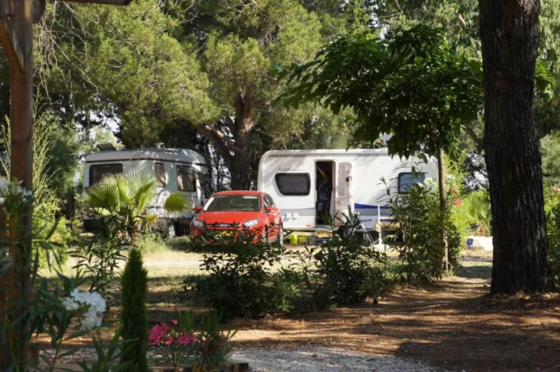 Forfait Confort (1 Tente, Caravane Ou Camping-Car / 1 Voiture / Électricité 10A)