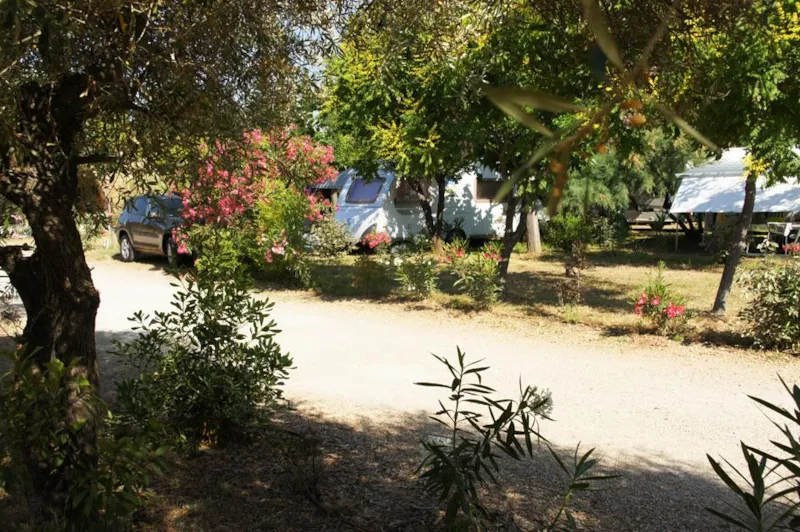 Forfait Confort (1 Tente, Caravane Ou Camping-Car / 1 Voiture / Électricité 10A)