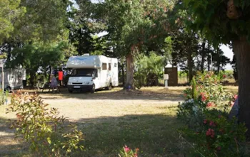 Stellplatz - Stellplatz Privilège (Zelt, Wohnwagen, Wohnmobil / 1 Auto / Strom 10A) - Flower Camping Le Mas de Mourgues