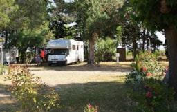 Kampeerplaats(en) - Pprivilege Formule (1 Tent, Caravan Of Camper / 1 Auto / Elektriciteit 10A) - Flower Camping Le Mas de Mourgues