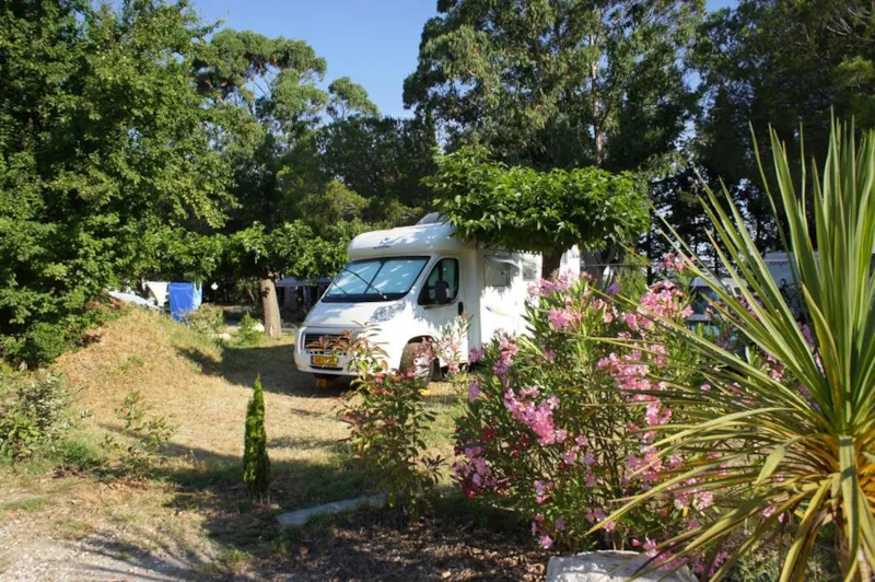Forfait Confort (1 Tente, Caravane Ou Camping-Car / 1 Voiture / Électricité 10A)