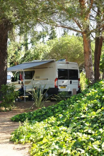 Kampeerplaats(en) - Basisprijs Comfortplaats (1 Tent, Caravan Of Camper / 1 Auto / Elektriciteit 10A) - Flower Camping Le Mas de Mourgues
