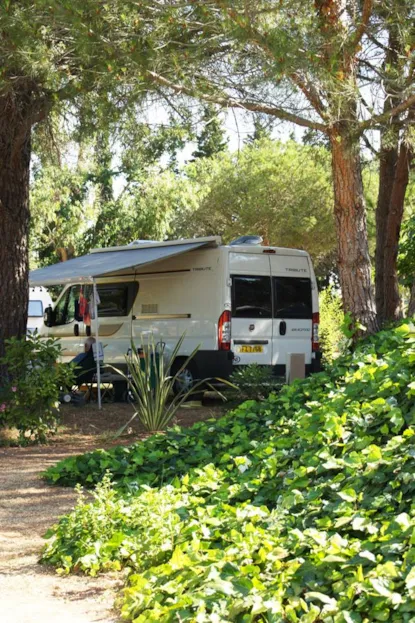 Parcela Confort (Tienda, Caravana, Autocaravana / 1 Coche / Electricidad 10A)
