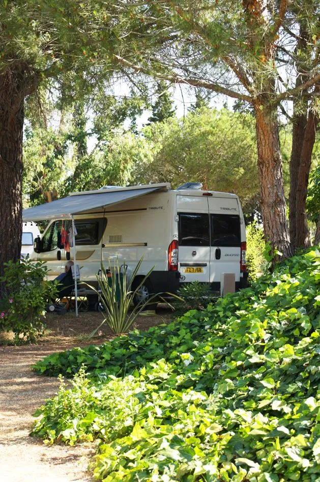 Forfait Confort (1 Tente, Caravane Ou Camping-Car / 1 Voiture / Électricité 10A)
