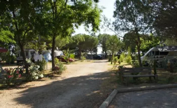 Stellplatz - Stellplatz Pauschale Wanderer Oder Radfahrer Mit Zelt - Flower Camping Le Mas de Mourgues