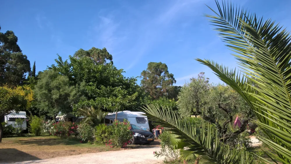 Emplacement - Forfait "Carte Acsi" Emplacement Confort - Flower Camping Le Mas de Mourgues