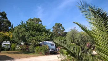 Stellplatz - Acsi Card Package Comfort Location - Flower Camping Le Mas de Mourgues