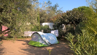 Comfort Package (1 tent, caravan or motorhome / 1 car / electricity 10A) — 3