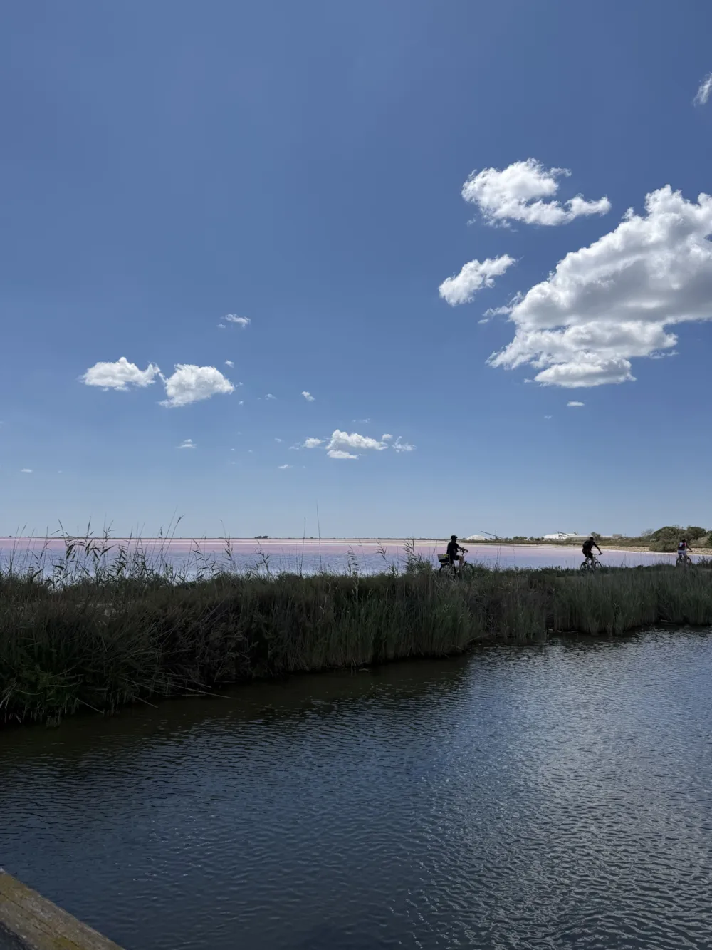 Flower Camping Le Mas de Mourgues