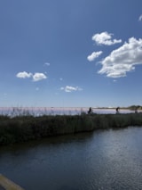 Foto #37 van Flower Camping Le Mas de Mourgues