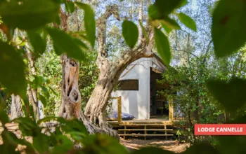 Mietunterkunft - Lodge Cannelle 21M² (2 Zimmer) - Camping Le BeauVezé ****