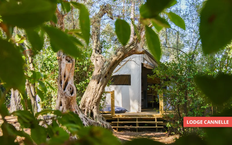 Lodge Cannelle 21M² (2 Chambres)