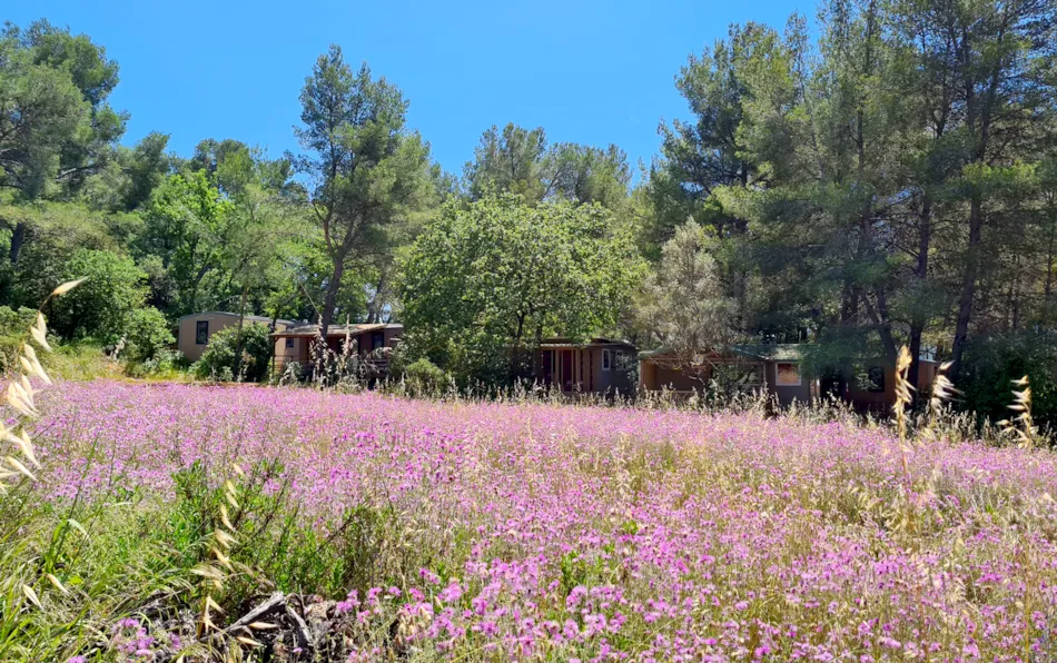 Camping Le BeauVezé ****