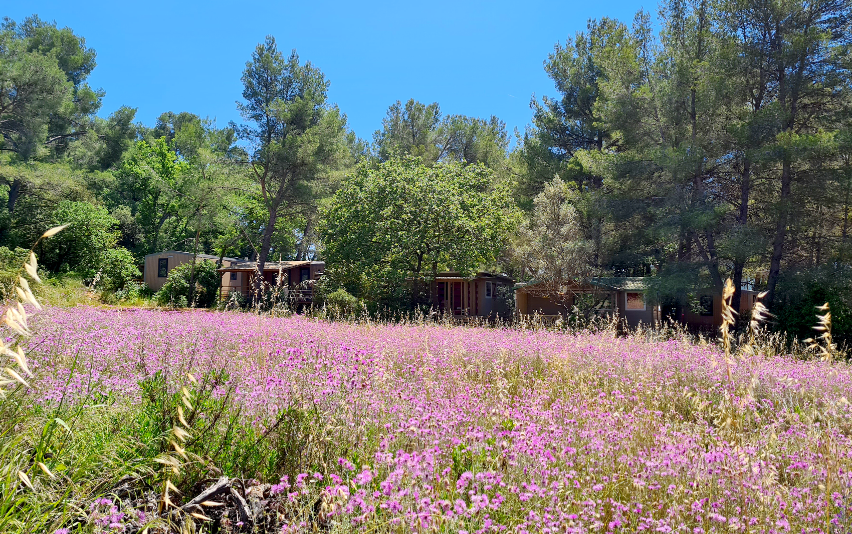 Camping Le BeauVezé **** — Foto 9