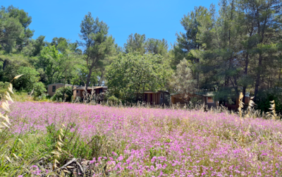 Camping Le BeauVezé ****