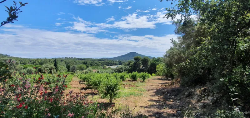 Cottage Family 63M² (3 Chambres)