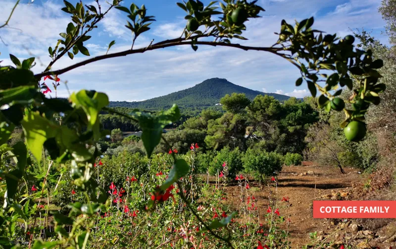 Cottage Family 63M² (3 Chambres)