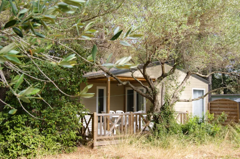 Chalet Vanille 32M² (3 Chambres)