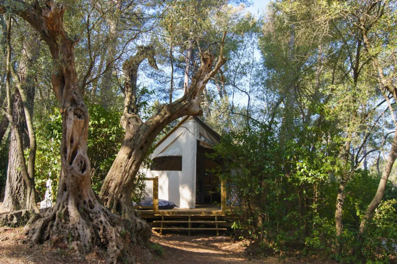 Lodge Cannelle 21M² (2 Chambres)