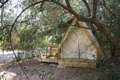 Lodge MINI CANNELLE 6m² max 2 people