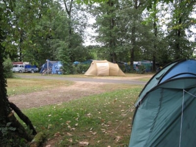 Pitch Trekking Package for 1 person by foot or by bike with tent (17h-9h)