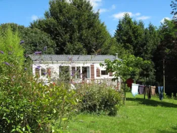 Mietunterkunft - Mobilheim Standard 29 M² 2 Zimmer - Flower Camping Les Nauves
