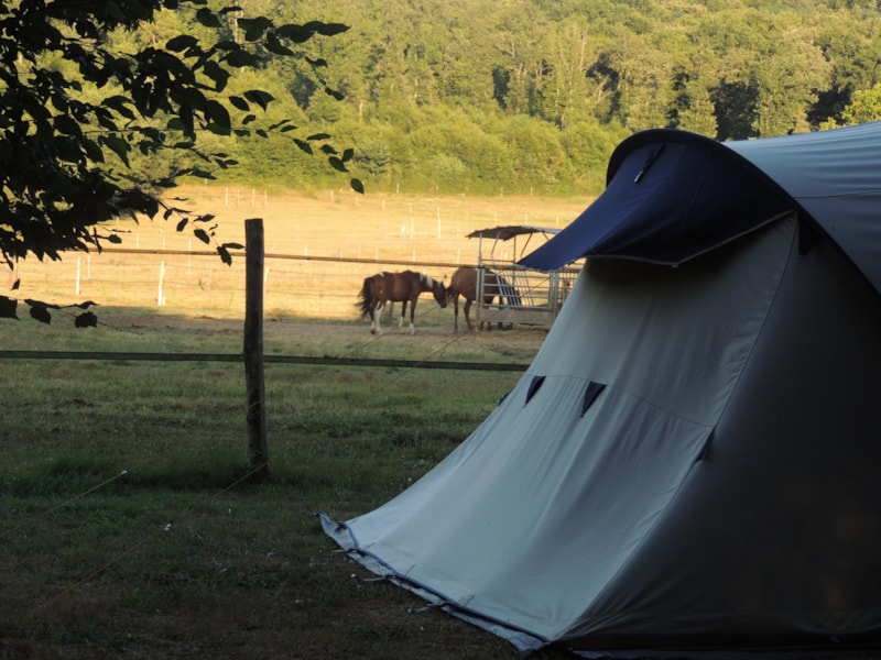 Forfait Privilège (1 tente, caravane ou camping-car / 1 voiture / électricité 10A) vue sur nature