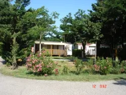 Pitch - Comfort Package (1 Tent, Caravan Or Motorhome / 1 Car / Electricity 10A) - image n°2 - Flower Camping Le Riviera