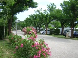 Pitch - Comfort Package (1 Tent, Caravan Or Motorhome / 1 Car / Electricity 10A) - image n°3 - Flower Camping Le Riviera
