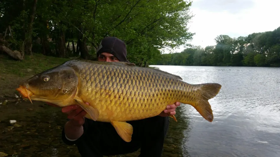 Flower Camping Le Riviera